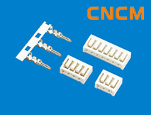 (SAN)�͗l���B����