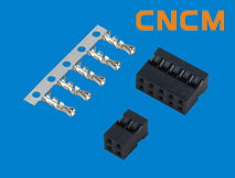 (�Ű�2.0�p��)�͗l���B����