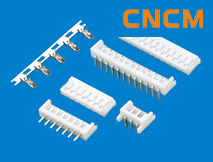 (EH)�͗l���B����