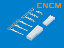 (SYP)�͗l���B����