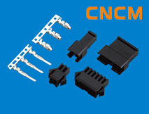 (SM)�͗l���B����