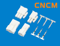 (FL)�͗l���B����