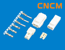 (YL)�͗l���B����