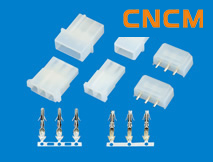 (8981/����P)�͗l���B����